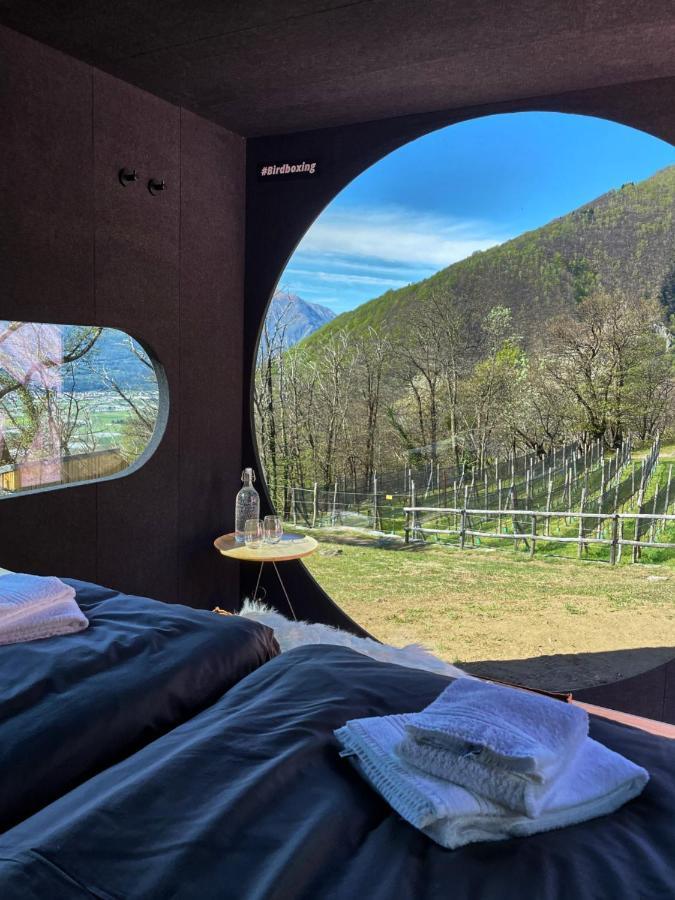 Birdbox Curzútt Hotel Monte Carasso Exterior foto