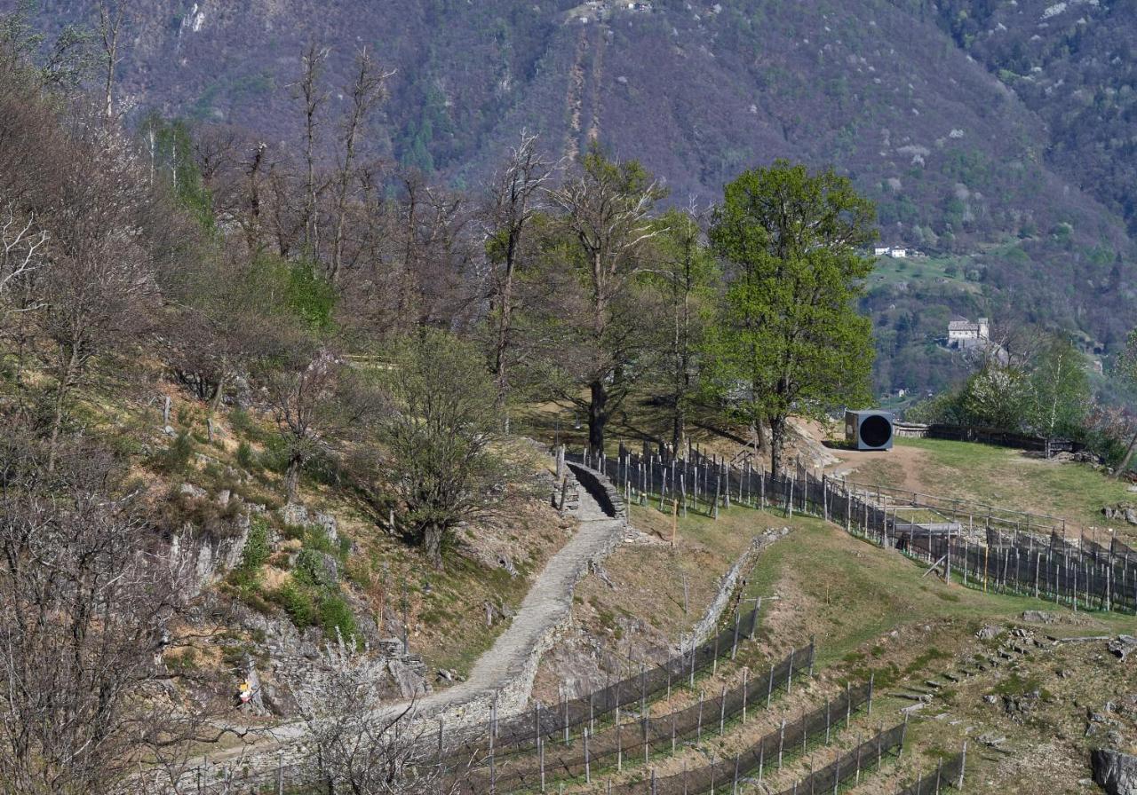 Birdbox Curzútt Hotel Monte Carasso Exterior foto