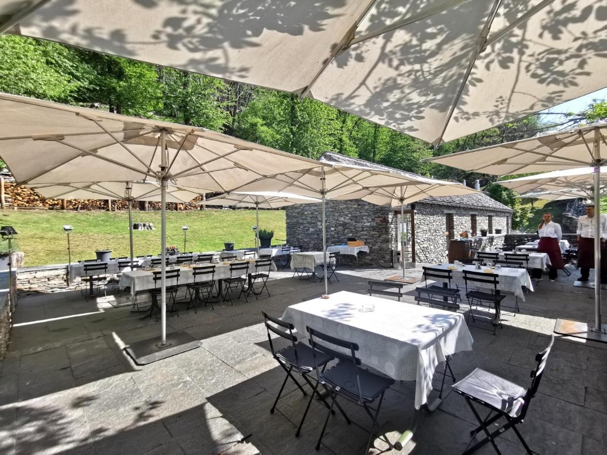 Birdbox Curzútt Hotel Monte Carasso Exterior foto